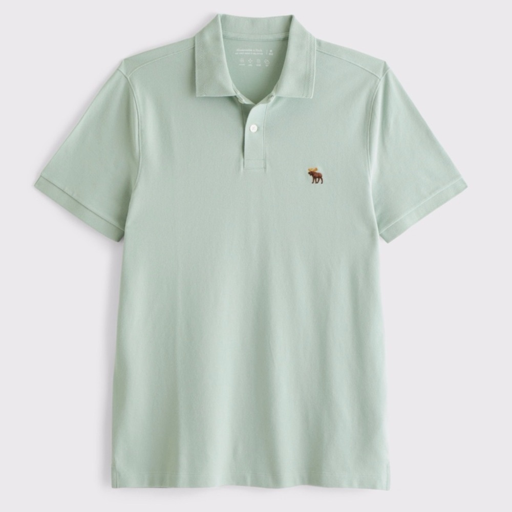 Abercrombie & Fitch Mint Polo Shirt